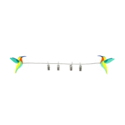 Pylones Cadres Et Albums Photos 4 Clips Ventouse Colibris