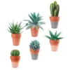 STC Stickers Muraux Autocollant Mural Pots De Plantes 73,5x20cm -Papiers peints Soldes autocollant mural pots de plantes 73 5x20cm