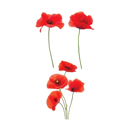 STC Stickers Muraux Autocollant Pour Vitres Coquelicots 44,5x51cm 3 STC Stickers Muraux Autocollant Pour Vitres Coquelicots 44,5x51cm
