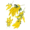 STC Stickers Muraux Décoration Murale Adhésive Mimosa 68x46cm -Papiers peints Soldes decoration murale adhesive mimosa 68x46cm