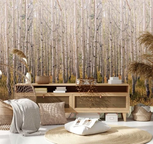 Hexoa Papiers Peints Papier Peint Forêt De Bouleaux 53x840cm 3 Hexoa Papiers Peints Papier Peint Forêt De Bouleaux 53x840cm