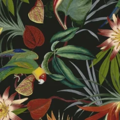 Superfresco Easy Papiers Peints Papier Peint Intissé Perroquet Noir 1005x52cm -Papiers peints Soldes papier peint intisse perroquet noir 1005x52cm 1