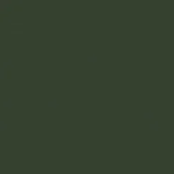 Superfresco Easy Papiers Peints Papier Peint Intissé Uni Feuilles élégance Vert 1005x52cm -Papiers peints Soldes papier peint intisse uni feuilles elegance vert 1005x52cm 1