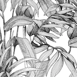 Hexoa Papiers Peints Papier Peint Jungle Bananier Noir Et Blanc 53x840cm -Papiers peints Soldes papier peint jungle bananier noir et blanc 53x840cm 1