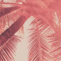 Acte Deco Papiers Peints Papier Peint Panoramique Blurry Red - 250x170 -Papiers peints Soldes papier peint panoramique blurry red 250x170 5