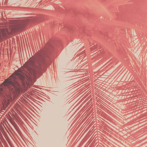 Acte Deco Papiers Peints Papier Peint Panoramique Blurry Red - 250x340 7 Acte Deco Papiers Peints Papier Peint Panoramique Blurry Red - 250x340 – Image 5