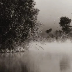 Acte Deco Papiers Peints Papier Peint Panoramique Brumes Matinales 06 - 250x255 -Papiers peints Soldes papier peint panoramique brumes matinales 06 250x255 4