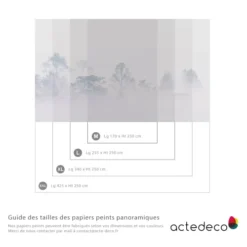 Acte Deco Papiers Peints Papier Peint Panoramique Brumes Matinales 08 - 250x255 -Papiers peints Soldes papier peint panoramique brumes matinales 08 250x255 3