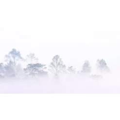 Acte Deco Papiers Peints Papier Peint Panoramique Brumes Matinales 08 - 250x425 9 Acte Deco Papiers Peints Papier Peint Panoramique Brumes Matinales 08 - 250x425 -Papiers peints Soldes papier peint panoramique brumes matinales 08 250x425 2