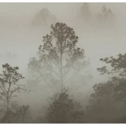 Acte Deco Papiers Peints Papier Peint Panoramique Brumes Matinales - 250x340 -Papiers peints Soldes papier peint panoramique brumes matinales 250x340 5