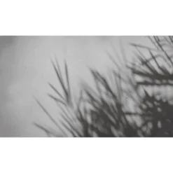 Acte Deco Papiers Peints Papier Peint Panoramique Concrete Bamboo - 250x425 -Papiers peints Soldes papier peint panoramique concrete bamboo 250x425 2