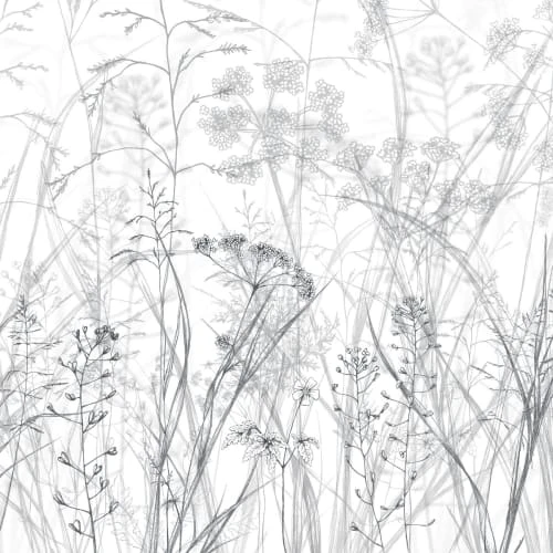 Acte Deco Papiers Peints Papier Peint Panoramique Dans Les Champs - 250x510 7 Acte Deco Papiers Peints Papier Peint Panoramique Dans Les Champs - 250x510 – Image 5