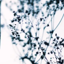 Acte Deco Papiers Peints Papier Peint Panoramique Douceur Végétale - 250x170 -Papiers peints Soldes papier peint panoramique douceur vegetale 250x170 3