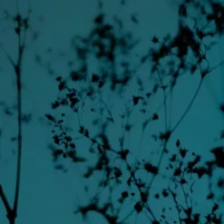 Acte Deco Papiers Peints Papier Peint Panoramique Douceur Végétale - 250x425 -Papiers peints Soldes papier peint panoramique douceur vegetale 250x425 3