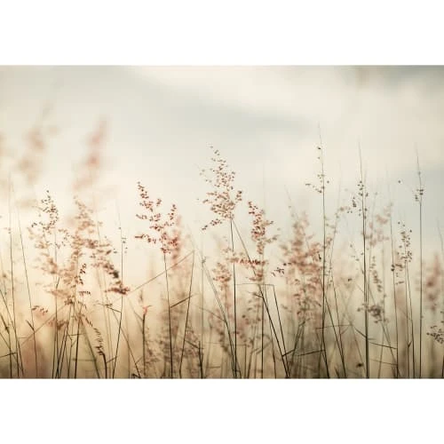 Lé Papiers De Ninon Papiers Peints Papier Peint Panoramique En Papier Beige Clair 384x270 4 Lé Papiers De Ninon Papiers Peints Papier Peint Panoramique En Papier Beige Clair 384x270 – Image 2