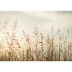 Lé Papiers De Ninon Papiers Peints Papier Peint Panoramique En Papier Beige Clair 384x270 11 Lé Papiers De Ninon Papiers Peints Papier Peint Panoramique En Papier Beige Clair 384x270 -Papiers peints Soldes papier peint panoramique en papier beige clair 384x270 5