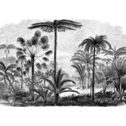 Lé Papiers De Ninon Papiers Peints Papier Peint Panoramique En Papier Noir 432x300 -Papiers peints Soldes papier peint panoramique en papier noir 432x300 2