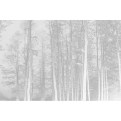 Acte Deco Papiers Peints Papier Peint Panoramique La Forêt Enchantée - 250x255 -Papiers peints Soldes papier peint panoramique la foret enchantee 250x255 14