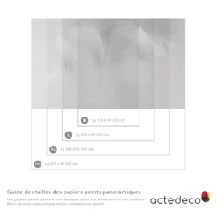 Acte Deco Papiers Peints Papier Peint Panoramique Plumes 2 - 250x170 -Papiers peints Soldes papier peint panoramique plumes 2 250x170 3