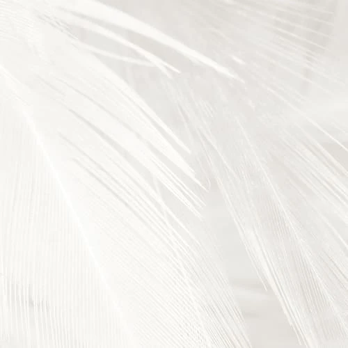 Acte Deco Papiers Peints Papier Peint Panoramique Plumes - 250x255 7 Acte Deco Papiers Peints Papier Peint Panoramique Plumes - 250x255 – Image 5