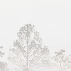 Acte Deco Papiers Peints Papier Peint Panoramique Quiet Landscape 03 - 250x425 -Papiers peints Soldes papier peint panoramique quiet landscape 03 250x425 6