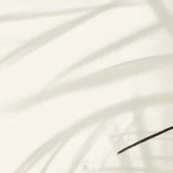 Acte Deco Papiers Peints Papier Peint Panoramique Shadow - 250x340 10 Acte Deco Papiers Peints Papier Peint Panoramique Shadow - 250x340 -Papiers peints Soldes papier peint panoramique shadow 250x340 3