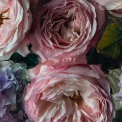 Hexoa Papiers Peints Papier Peint Pivoines Et Hortensias 53x840cm -Papiers peints Soldes papier peint pivoines et hortensias 53x840cm 1