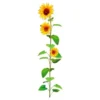 STC Stickers Muraux Tournesol 66,3x17cm -Papiers peints Soldes stickers muraux tournesol 66 3x17cm